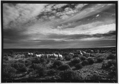 La Patagonia - copyright Lisl Steiner